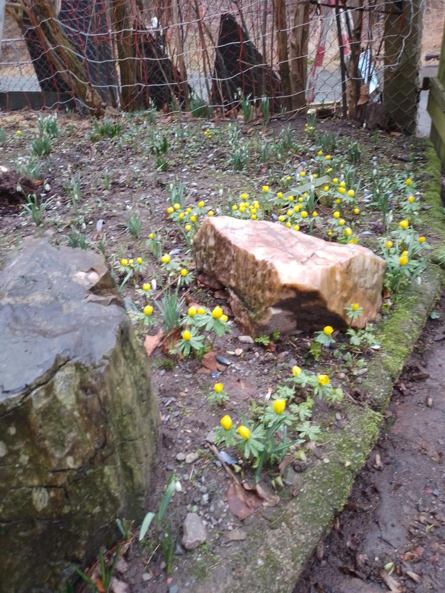 Zum Stillen Himmelbett In Lichtenwalde Niederwiesa Buitenkant foto