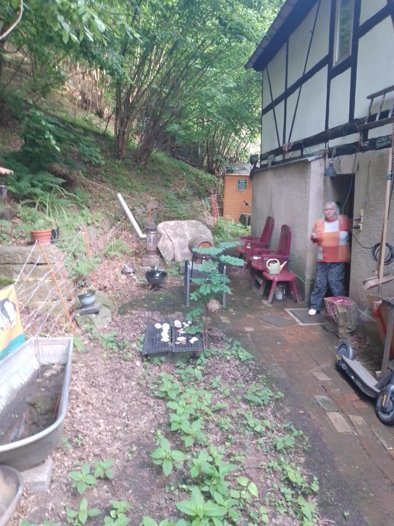 Zum Stillen Himmelbett In Lichtenwalde Niederwiesa Buitenkant foto